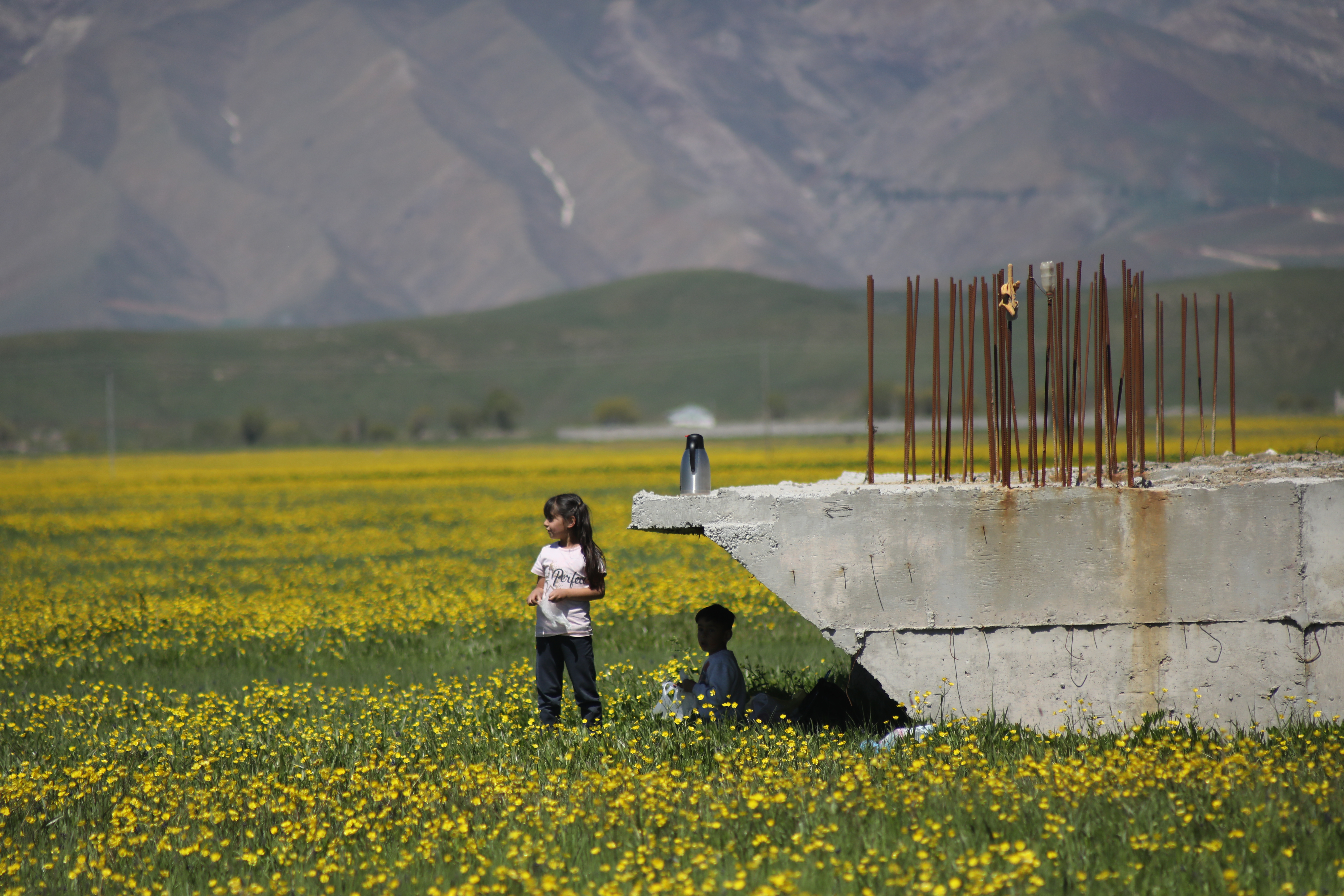 Two kids in a yellow flower field, one shielded by a concrete structure.