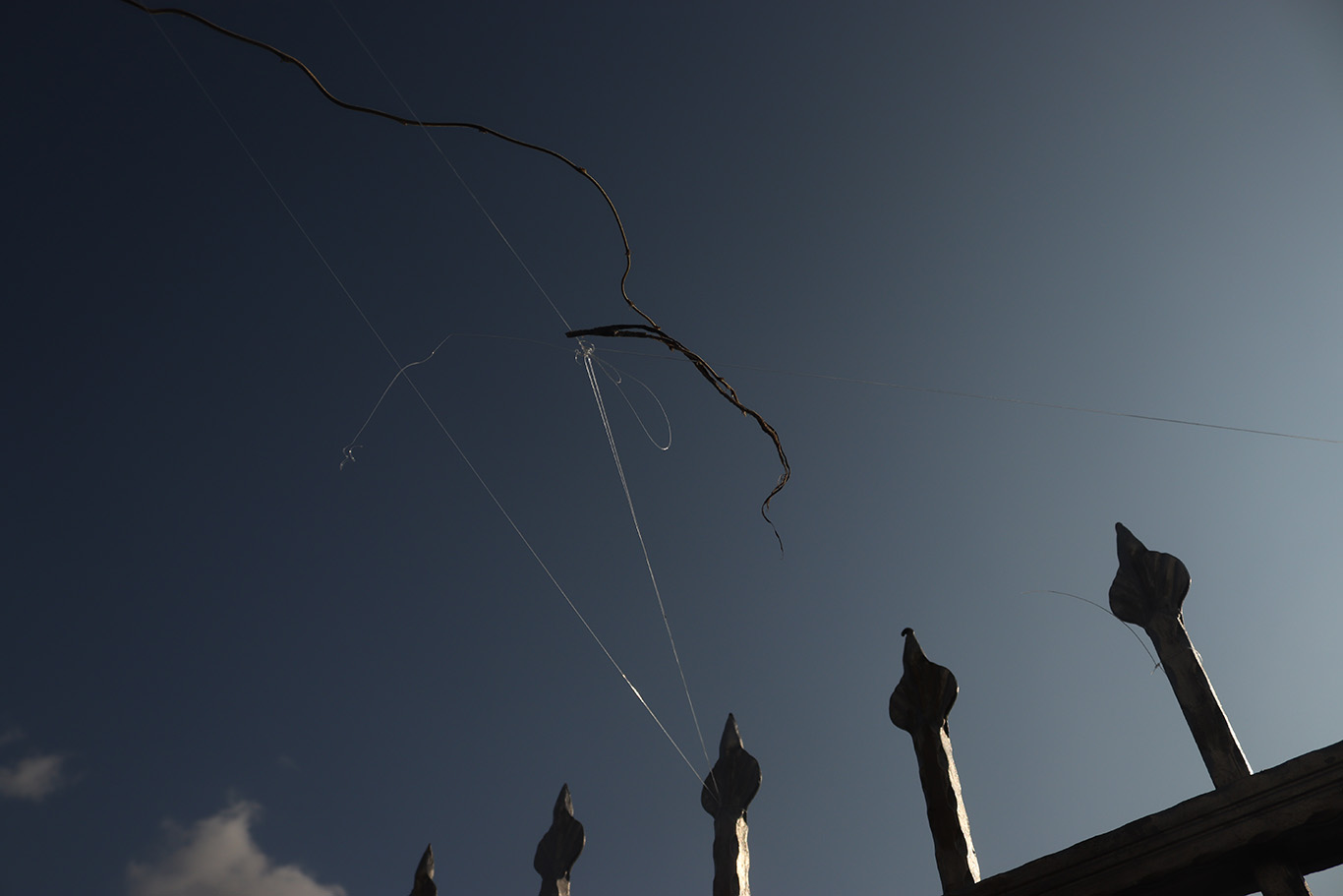 A thin tree branch laid on top of a clear string tied to an iron fence.