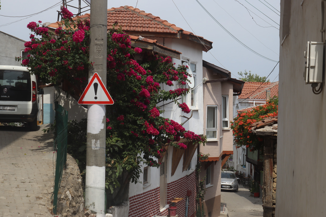 A fork in a city road divided by a pole with a road sign and pink flowering shrub.