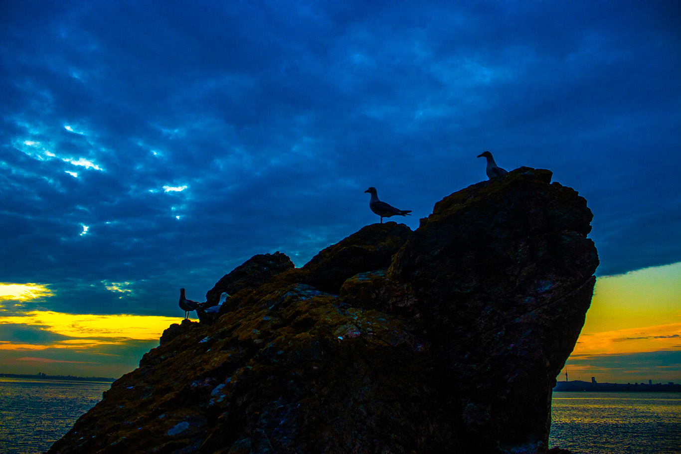 Three seagulls on top of a rock in front of a shore and a cloudy sky.
                        