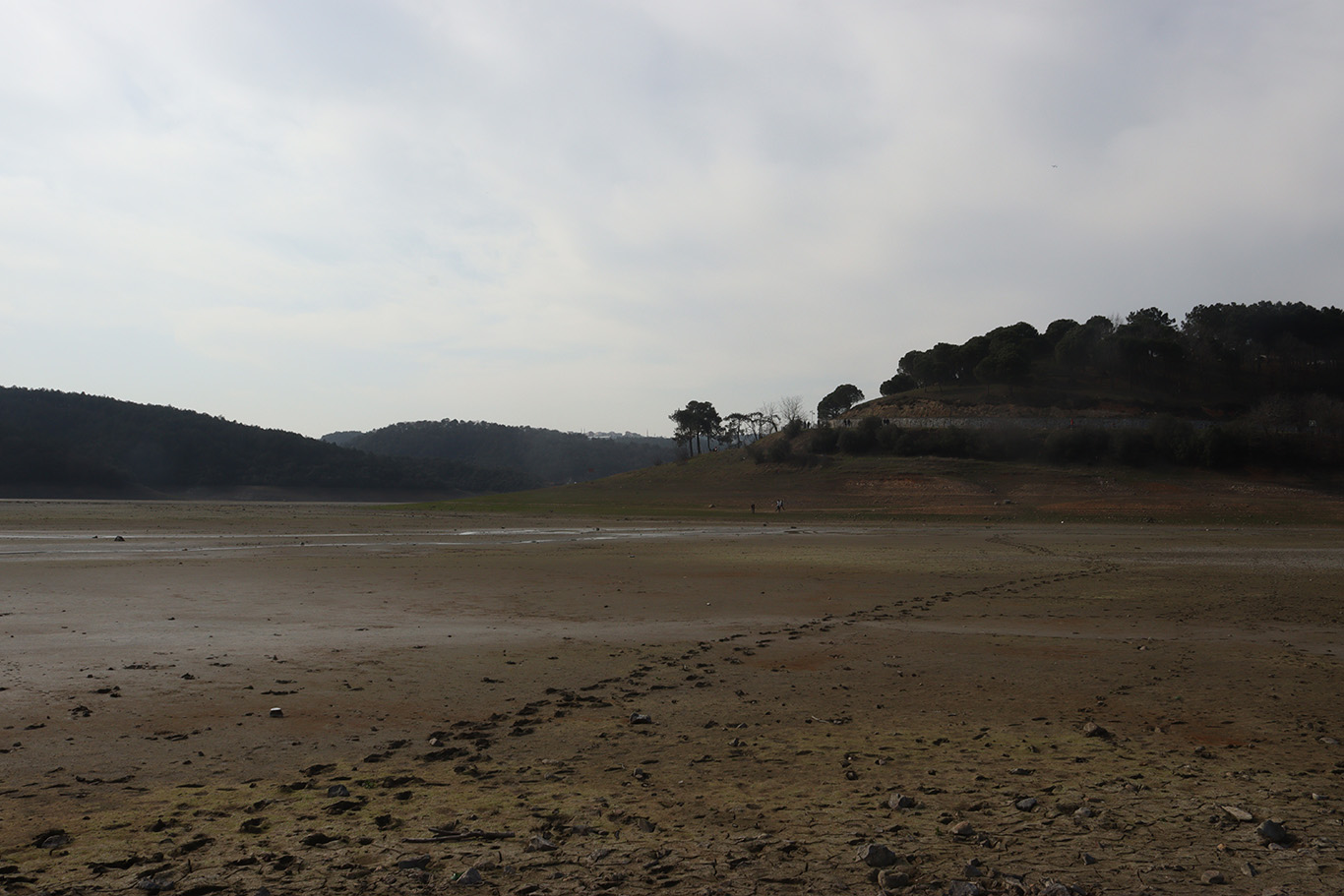 A muddy field with footstep imprints.