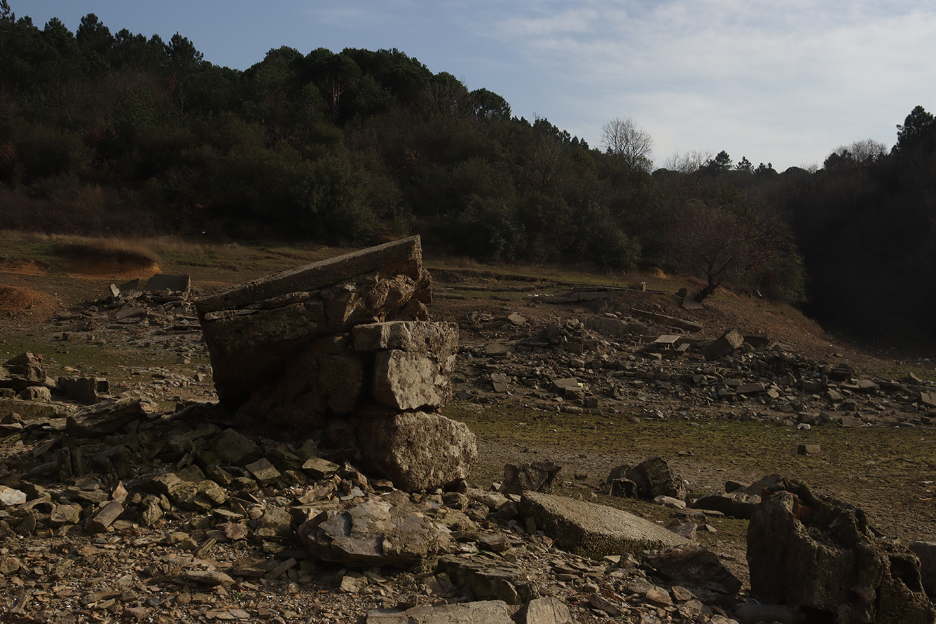Residue of an ancient structure in the middle of a field covered by a forest.