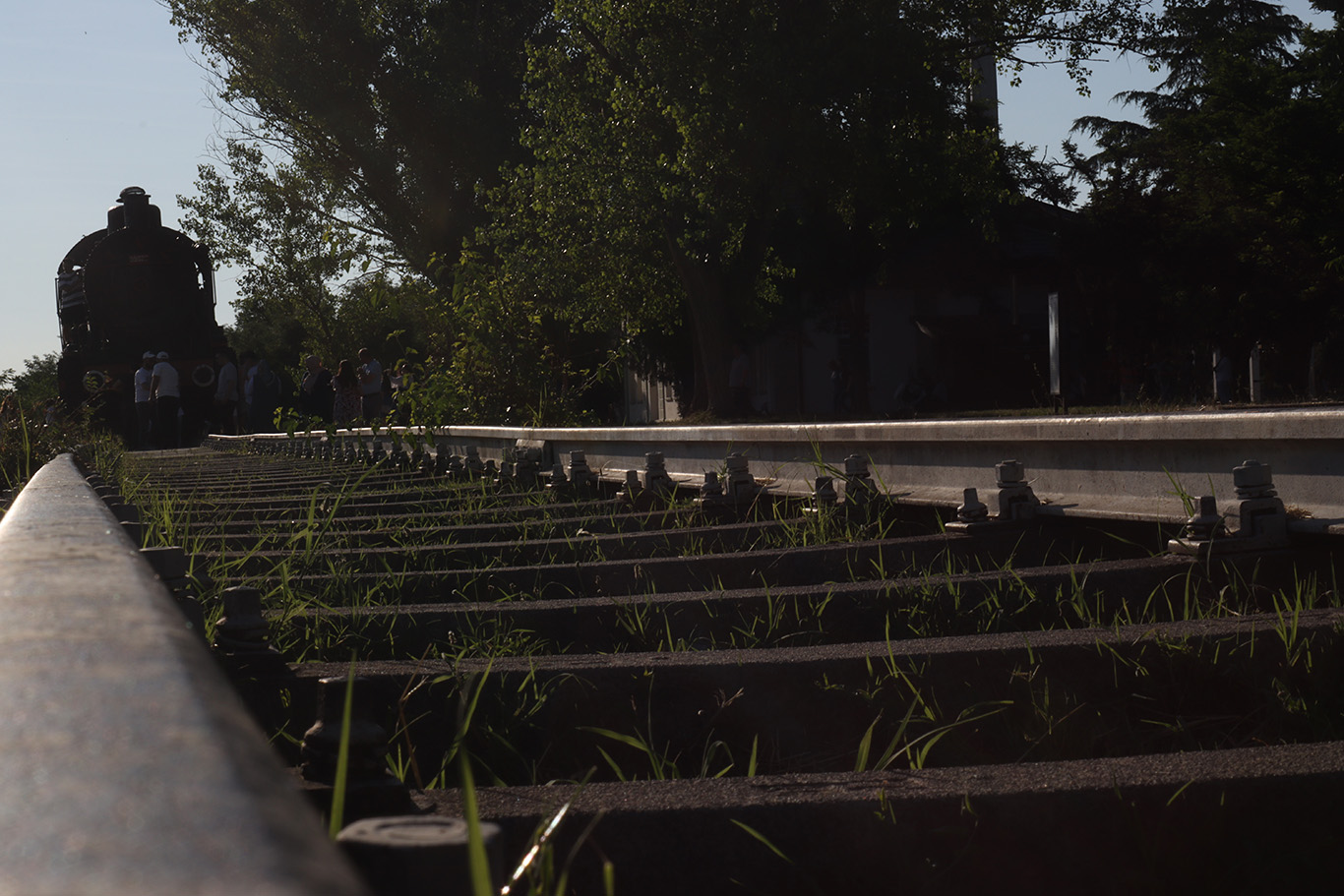A close up of an abandoned railway with an old train.